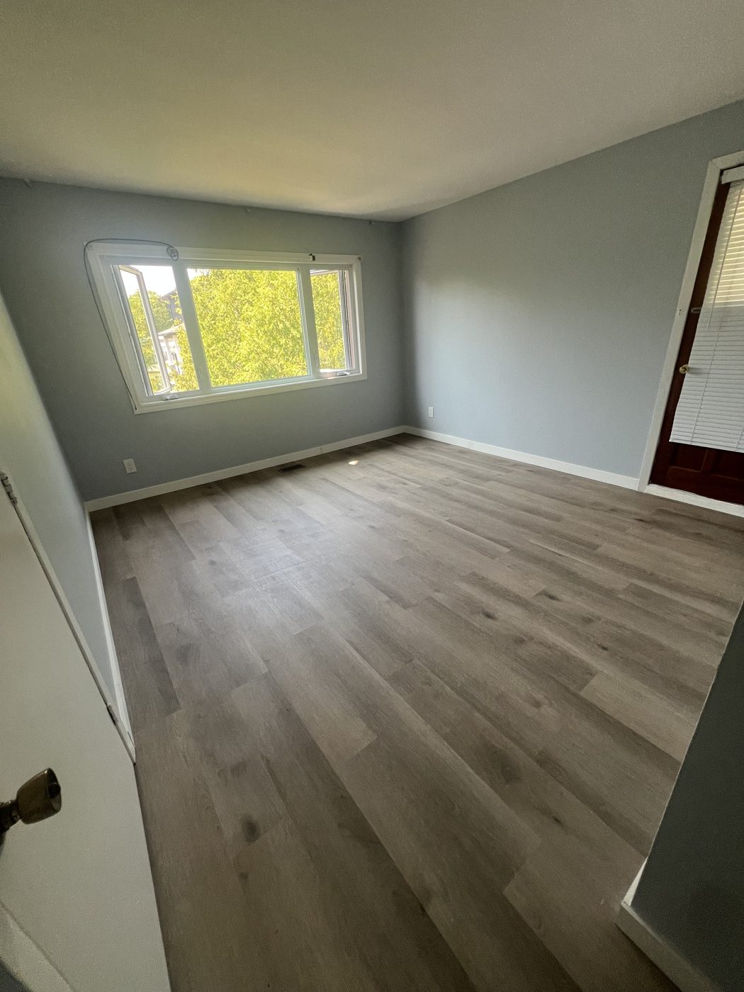 Renovated apartment with new plank flooring and fresh paint